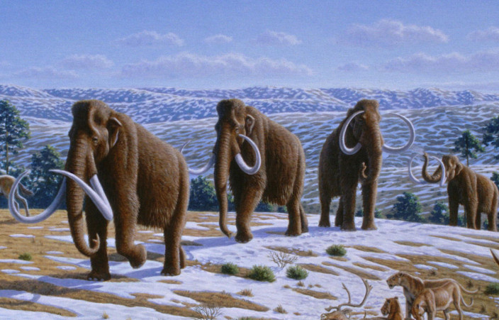world-mammoth