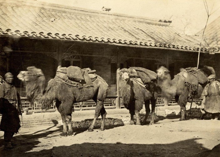 Редкие фотографии Пекина второй половины XIX века